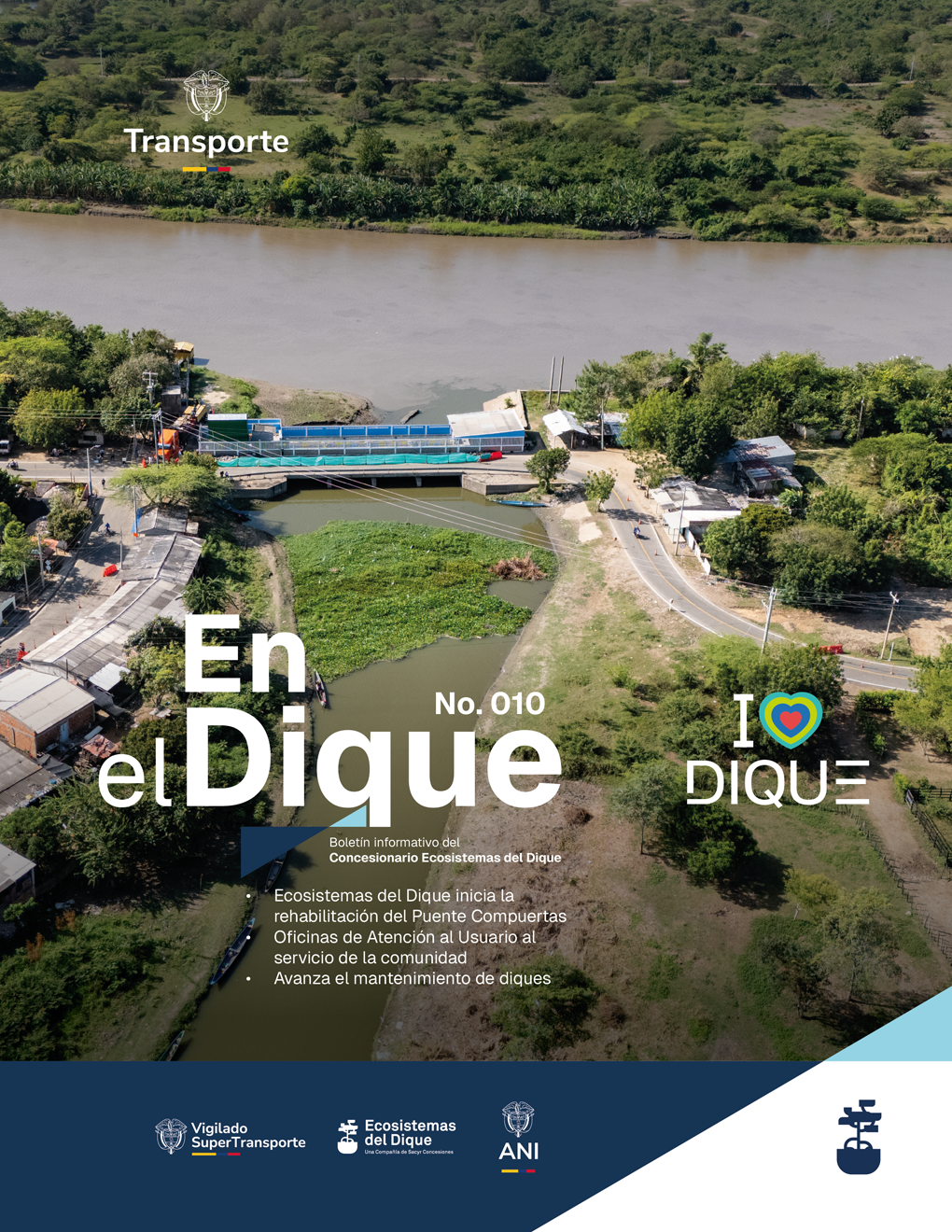 boletin 0010_Mesa de trabajo 1 copia.png