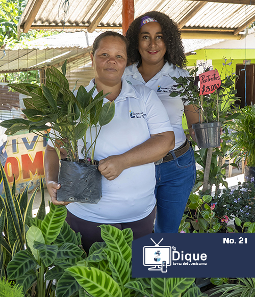 programa de TV 21.jpg