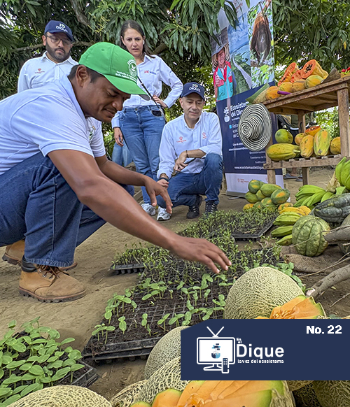 programa de TV 22.jpg